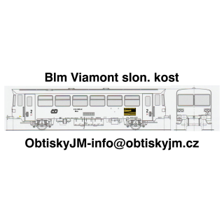 010 Viamont slonová kost A